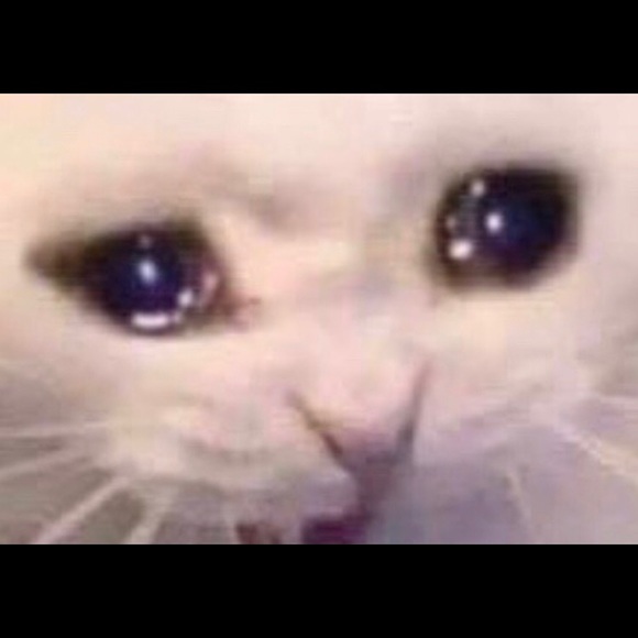 Meet your Posher, Julie - Picture 1 of 1